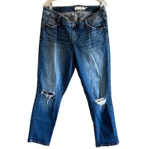 Torrid High Rise Ripped Skinny Jeans Size 12R
